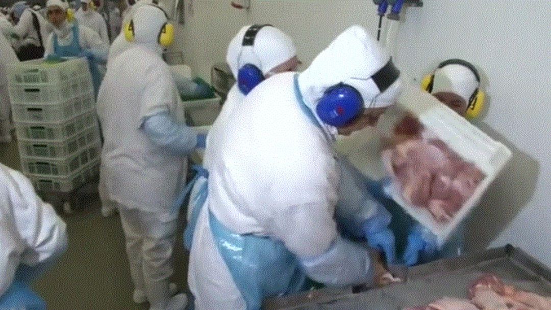 Foto: Cientos de trabajadores en empacadora de carne dan positivo a coronavirus en Brasil