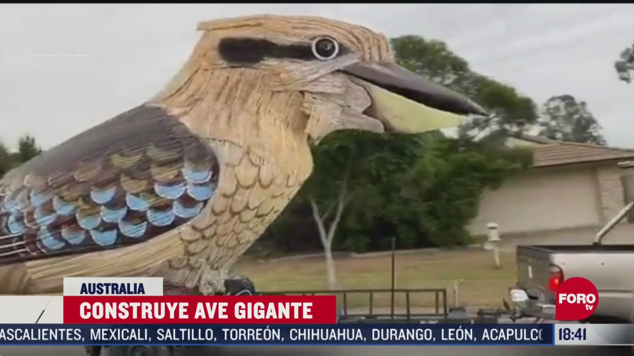 FOTO: construyen un ave gigante para atraer turistas en australia