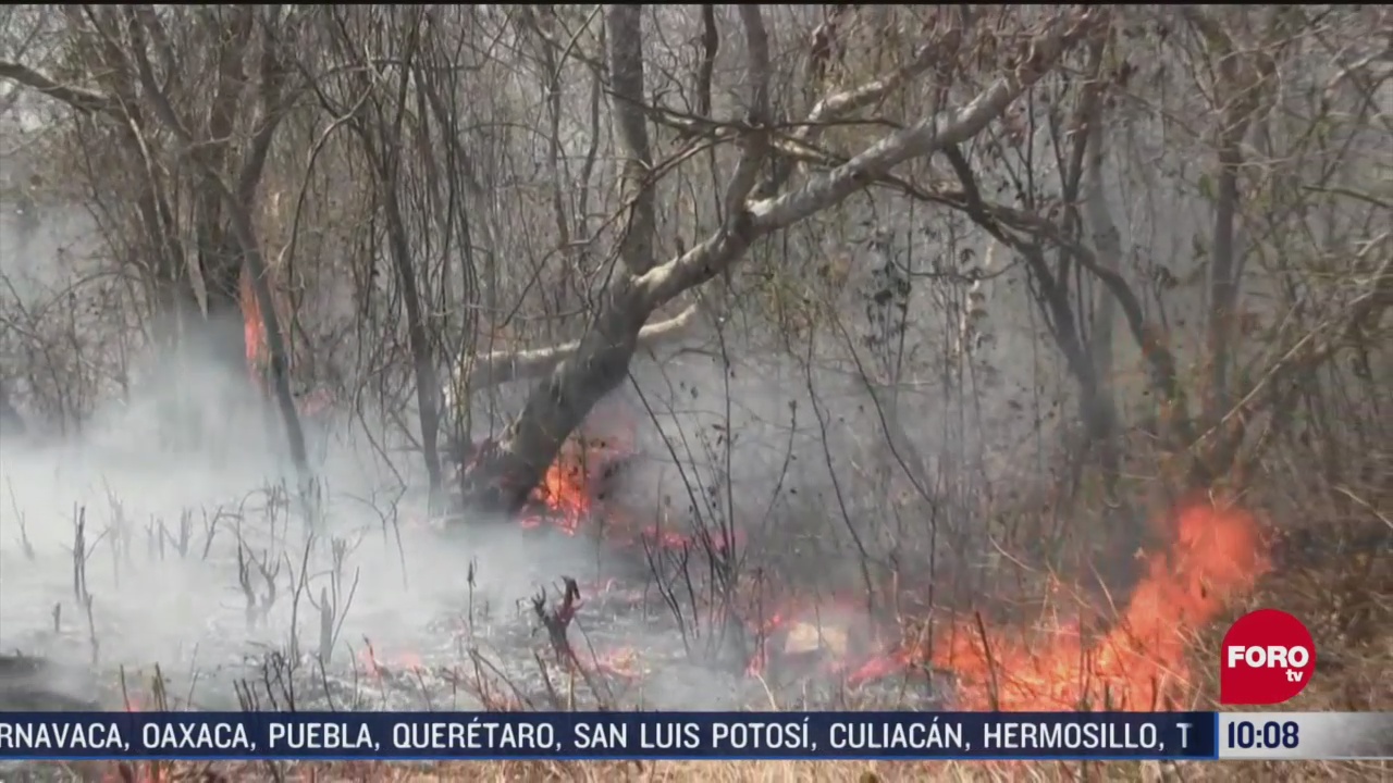 FOTO: 2 de mayo 2020, continua el combate de 42 incendios forestales en quintana roo