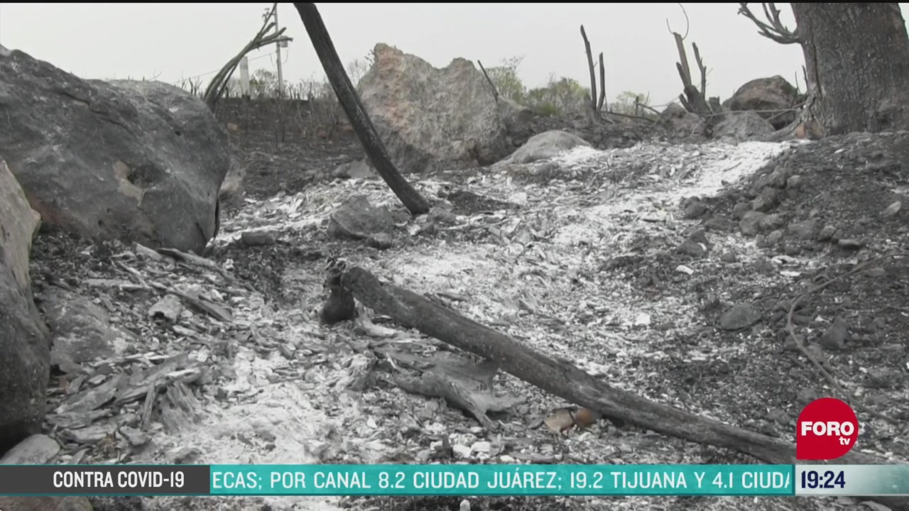 FOTO: 2 de mayo 2020, continuan incendios forestales en yucatan