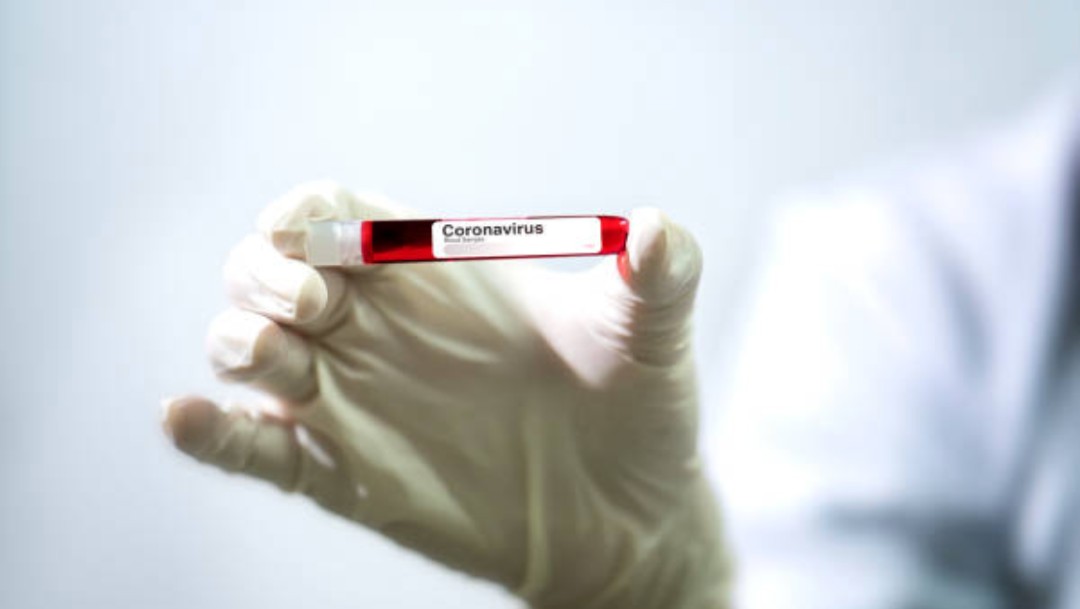 El coronavirus podría convertirse en un virus endémico y no irse nunca, advierte la OMS