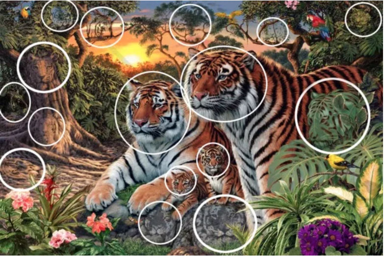 Foto Reto visual: ¿Cuántos tigres ves en esta imagen? 7 mayo 2020