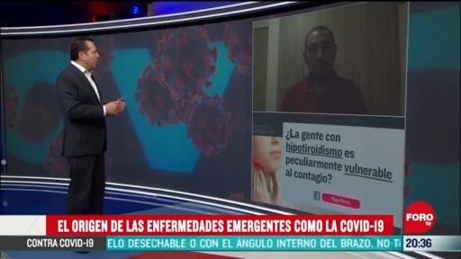 Foto: El Origen De Enfermedades Emergentes Como El Coronavirus 4 Mayo 2020