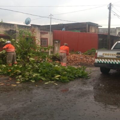 Lluvias y ráfagas de viento causan encharcamientos y caída de árboles en Chiapas