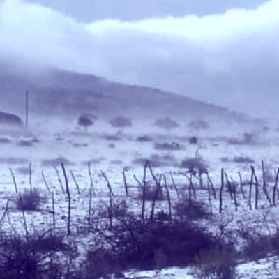 Fotos y video: Granizo deja paisajes blancos en Galeana y Aramberri, Nuevo León