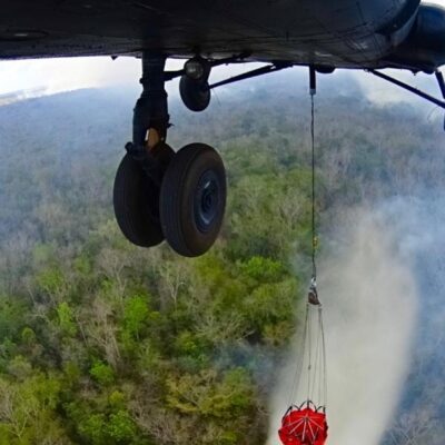 Incendios forestales destruyen más de 11 mil hectáreas en Quintana Roo