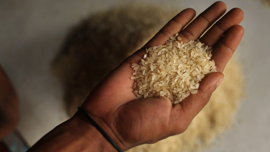 ¿El arroz debe enjuagarse antes de ser cocinado?
