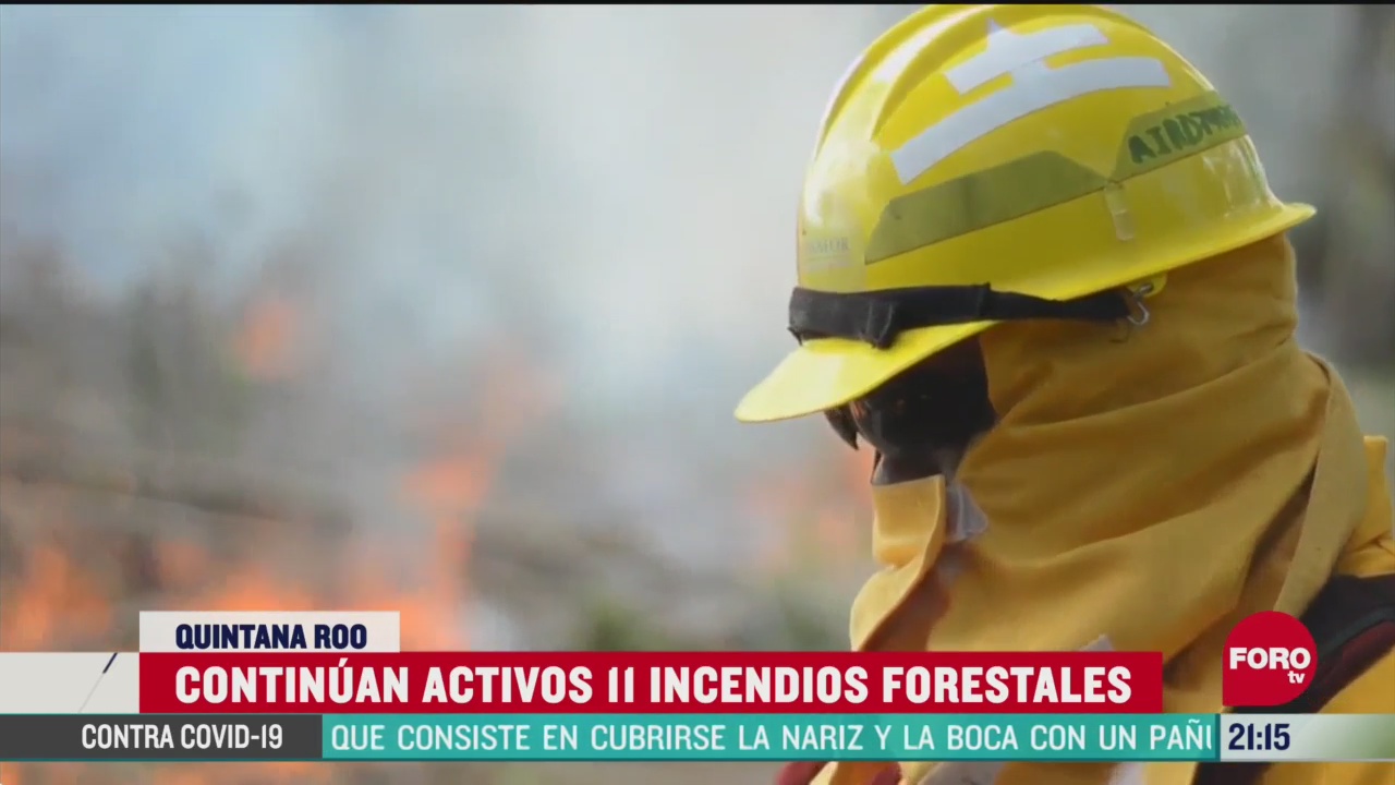 once incendios forestales continuan activos en quintana roo