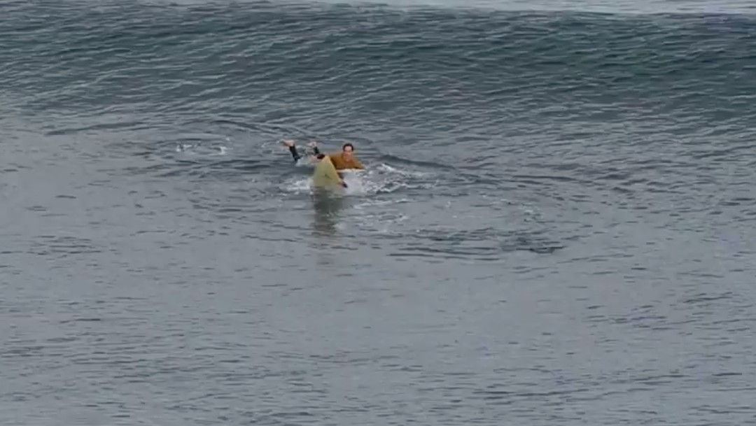 Surfista sobrevive a puñetazos al ataque de un tiburón en Australia