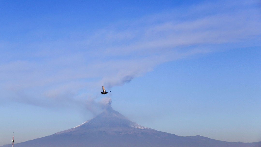 FOTO: Volcán Popocatépetl presentó 251 exhalaciones en último día, el 27 de mayo de 2020