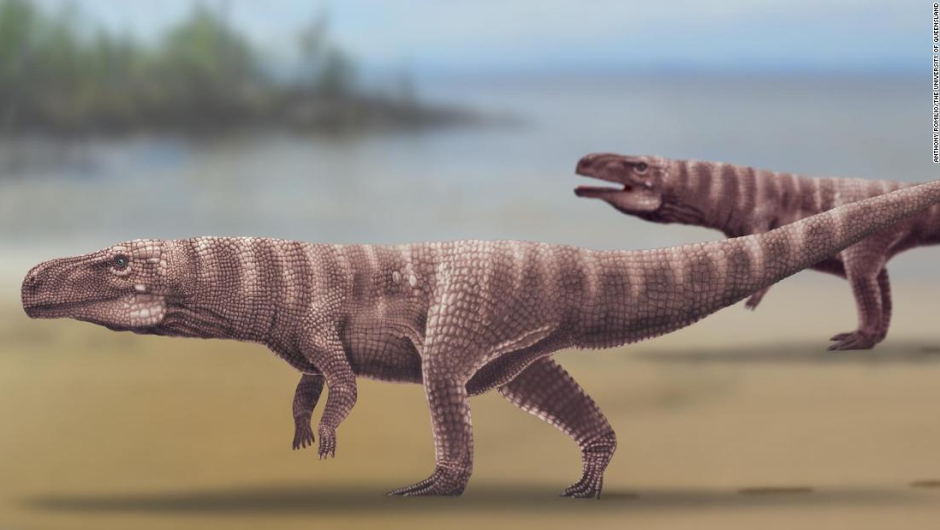 Foto: Ancestros de los cocodrilos habrían caminado sobre dos patas, revela estudio, 10 de junio de 2020, (Kyung Soo Kim et al. / Scientific Reports, 2020)
