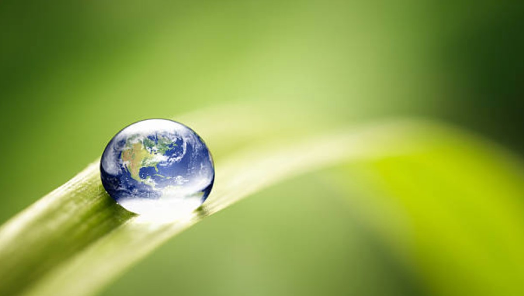 Día Mundial del Medio Ambiente 2020: Es la 'hora de la naturaleza' tras el COVID-19, asegura la ONU