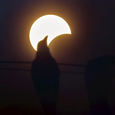 Fotos: Así se vio en el mundo el eclipse de Anillo de Fuego
