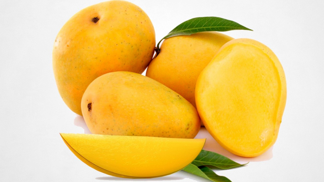 mango ataulfo amarillo hoja verde
