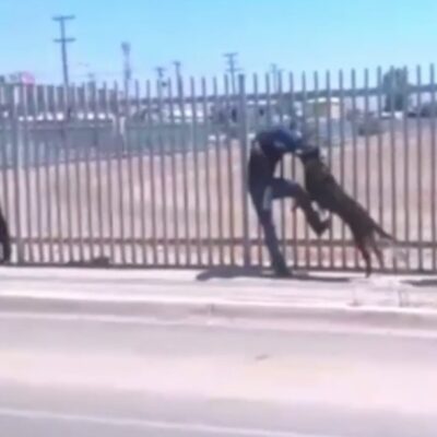 Perro policía evita suicidio de un migrante en Mexicali, Baja California