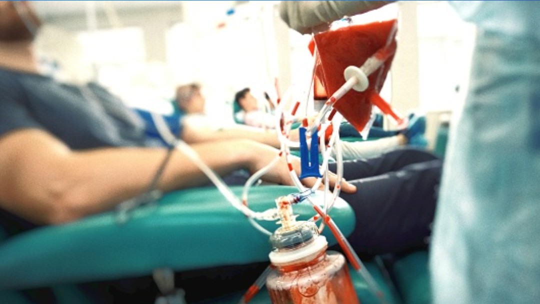 Personas donan sangre. Getty Images
