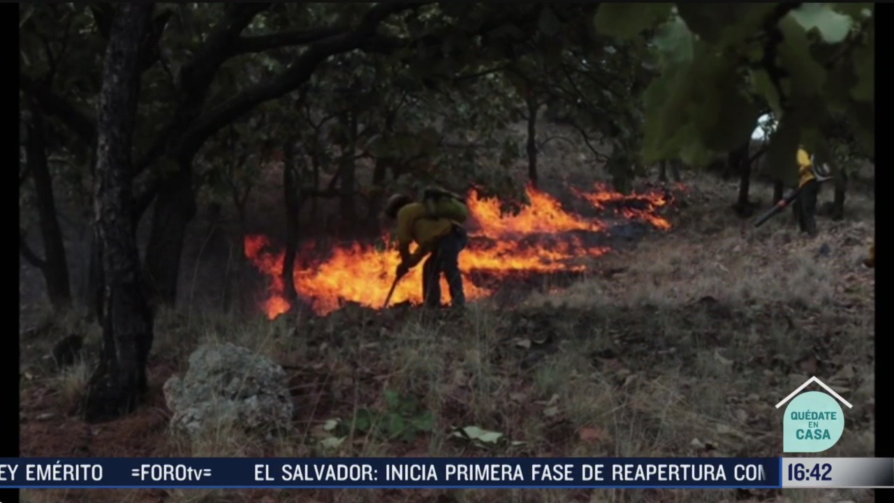 FOTO: se registran solo tres incendios forestales en el pais
