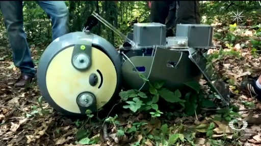 slothbot robot inspirado en los perezosos monitoreara jardin botanico de atlanta