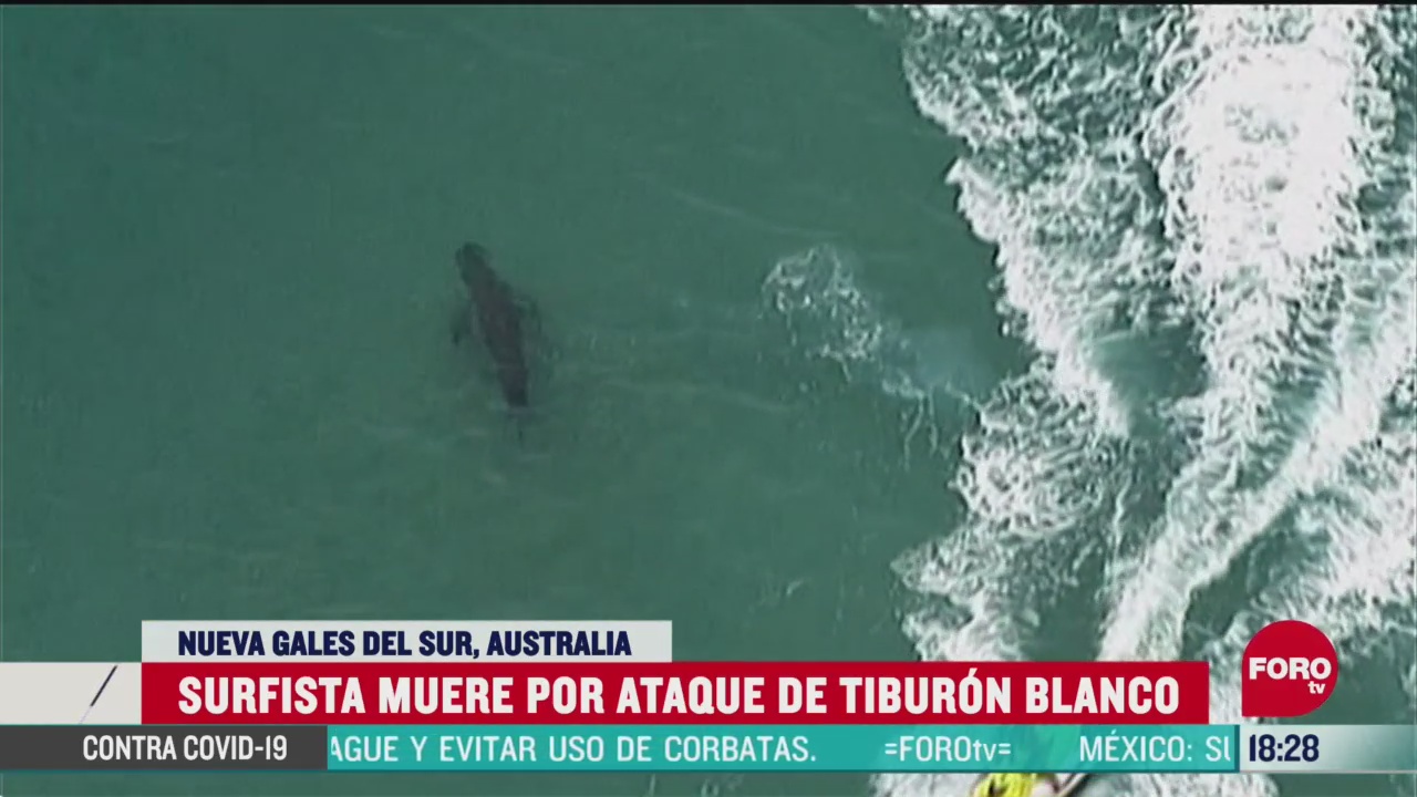 FOTO: 7 de junio 2020,surfista muere tras ser atacado por tiburon blanco en australia
