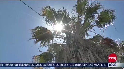 FOTO: 7 de junio 2020, temperaturas superan los 40 grados en chihuahua