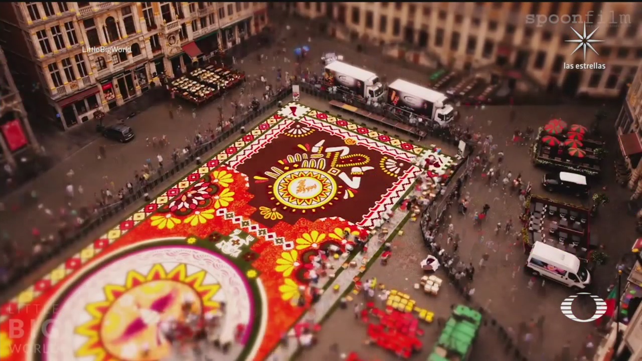 artista aleman crea timelapse de enorme alfombra de flores en bruselas