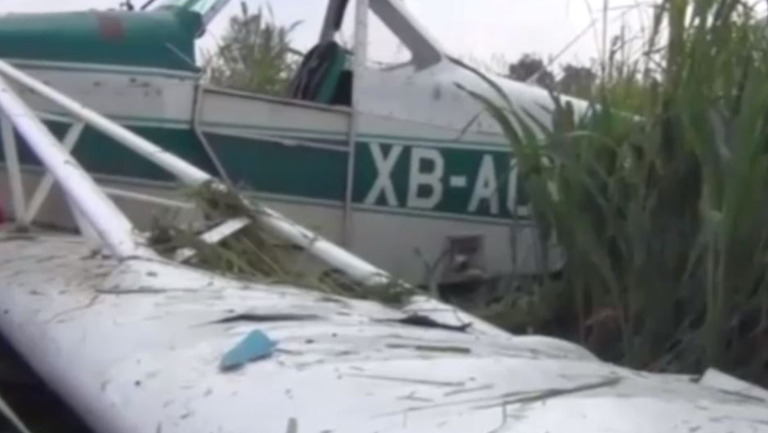 Avioneta se desploma mientras fumigaba en Guanajuato