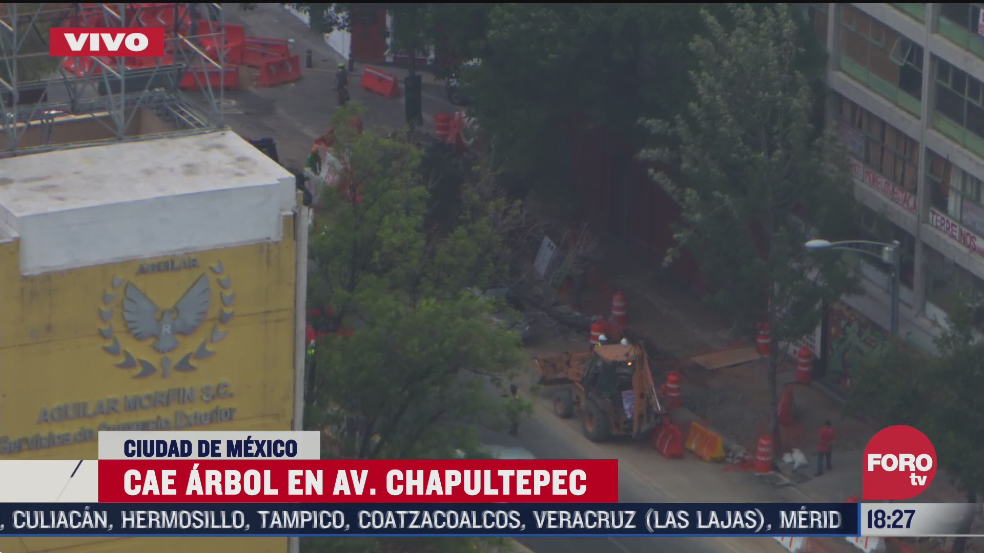 cae arbol sobre auto en avenida chapultepec cdmx