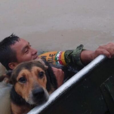 Soldado rescató a un perro de inundación en Tamaulipas y su foto se volvió viral