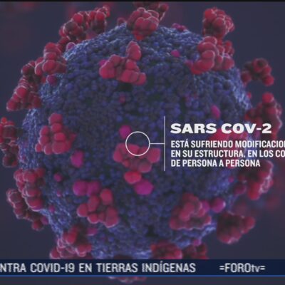 Científicos descubren mutación en el virus SARS-CoV-2
