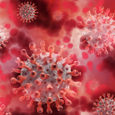 OMS: Este coronavirus no depende de estaciones y le gustan todos los climas