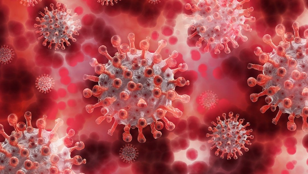Coronavirus, Imagen