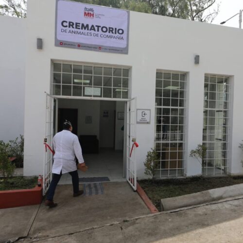 Inauguran el primer crematorio público para mascotas de CDMX