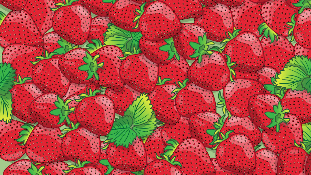 Encuentra 5 catarinas entre las fresas, ilustración