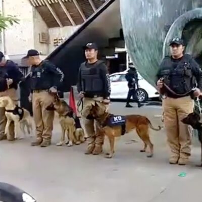 Certifican a escuadrón canino en detección de narcóticos y cadáveres en Guadalajara