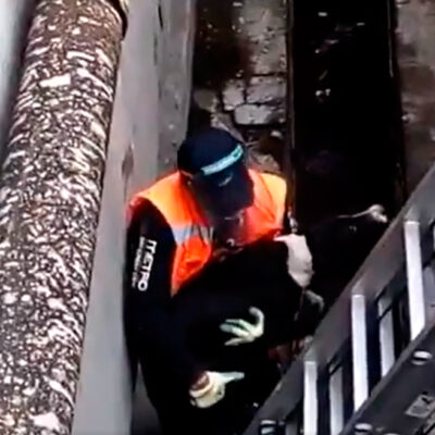 Fotos: Trabajador del Metro de la CDMX rescata a perrita y decide adoptarla