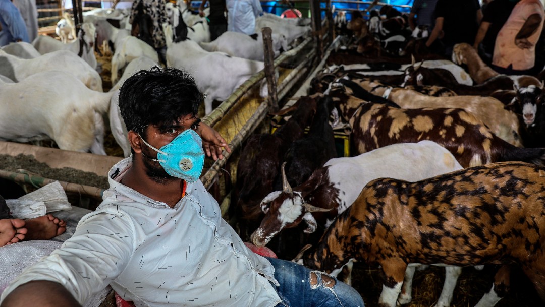 Hombre con cubrebocas en granja de cabras en Bombay, India