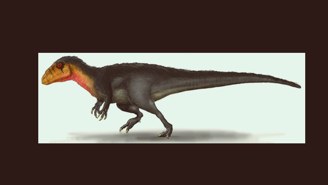 Encuentran los primeros registros de carcarodontosaurios en Lisboa
