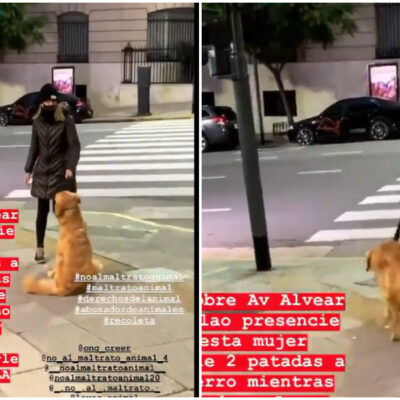 Video: Exhiben a mujer que golpea a su perro en la calle; la justicia ya la busca