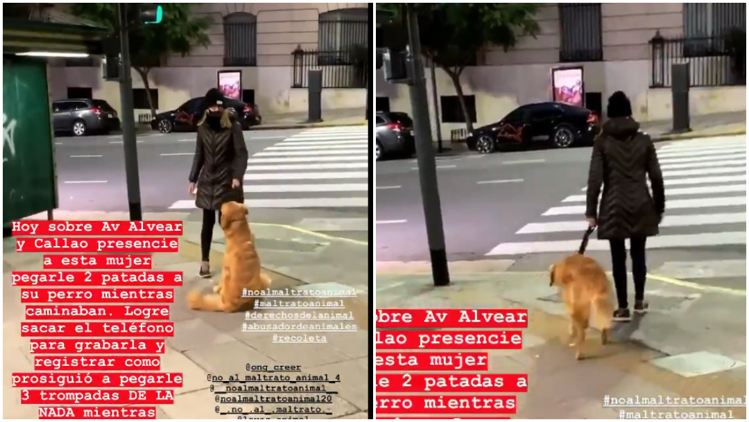 Maltrato animal, Buenos Aires, captura de pantalla