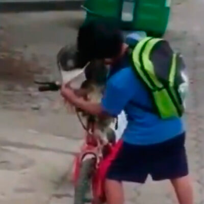 Video: Niño le pone cubrebocas a su perrito antes de salir de casa y se vuelve viral