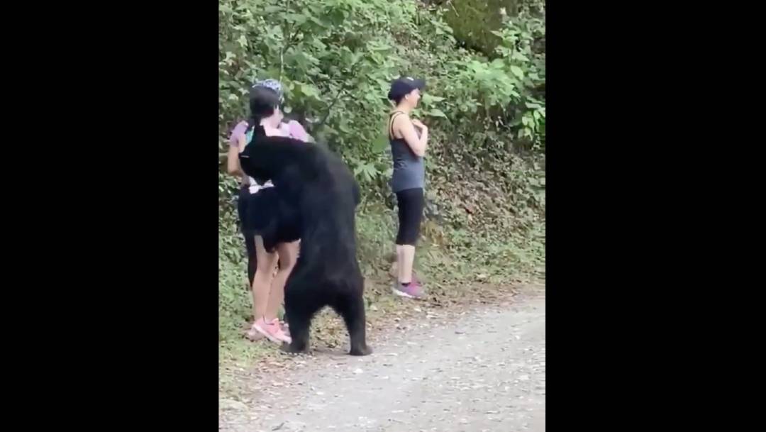 Las mujeres fueron sorprendidas por un oso negro mientras realizaban una caminata por el Parque Ecológico Chipinque en San Pedro Garza García, Nuevo León