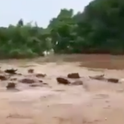 Video: Río se desborda tras el paso de 