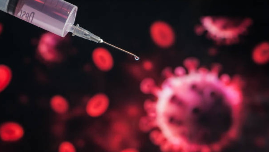 Vacuna contra el COVID-19Costa Rica anuncia que anticuerpos equinos neutralizan el coronavirus