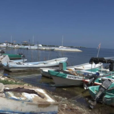 Inicia veda de caracol en Campeche; embarcaciones paran labores