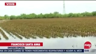 FOTO: 1 de agosto 2020, agricultores de tamaulipas afectados tras paso de hanna
