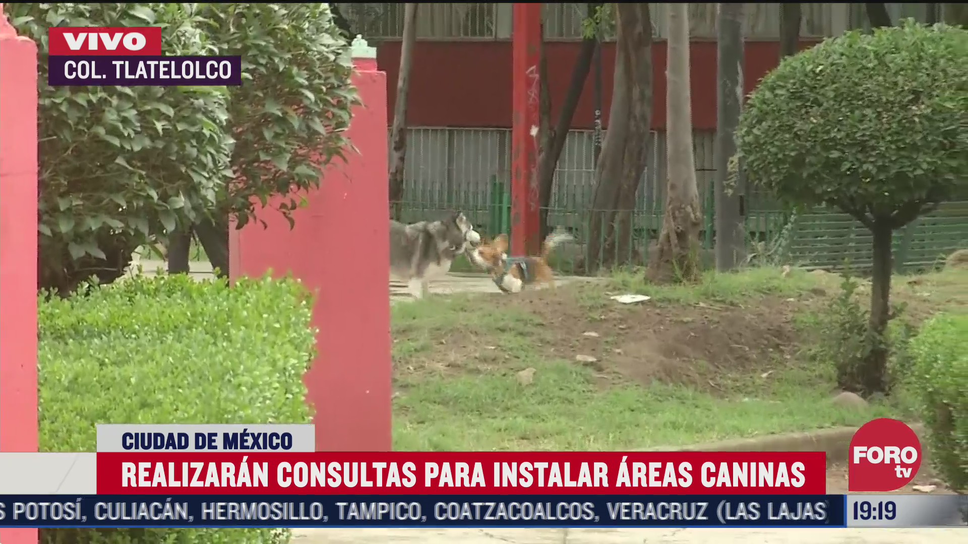 alcaldia cuauhtemoc realizara consultas sobre areas caninas en tlatelolco