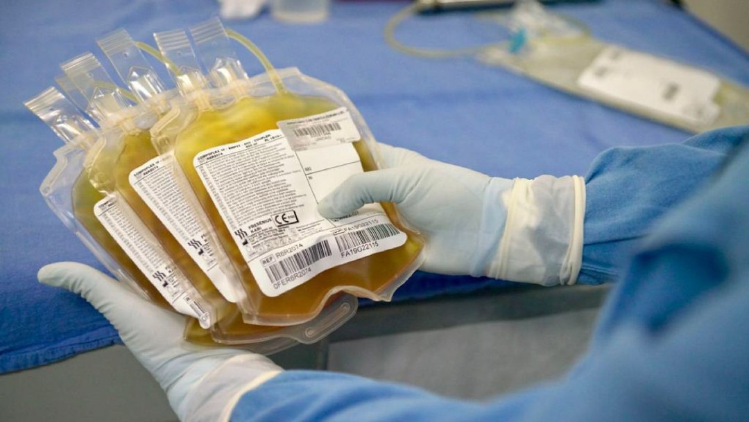 Donan plasma en Nuevo León para tratar a pacientes por COVID-19