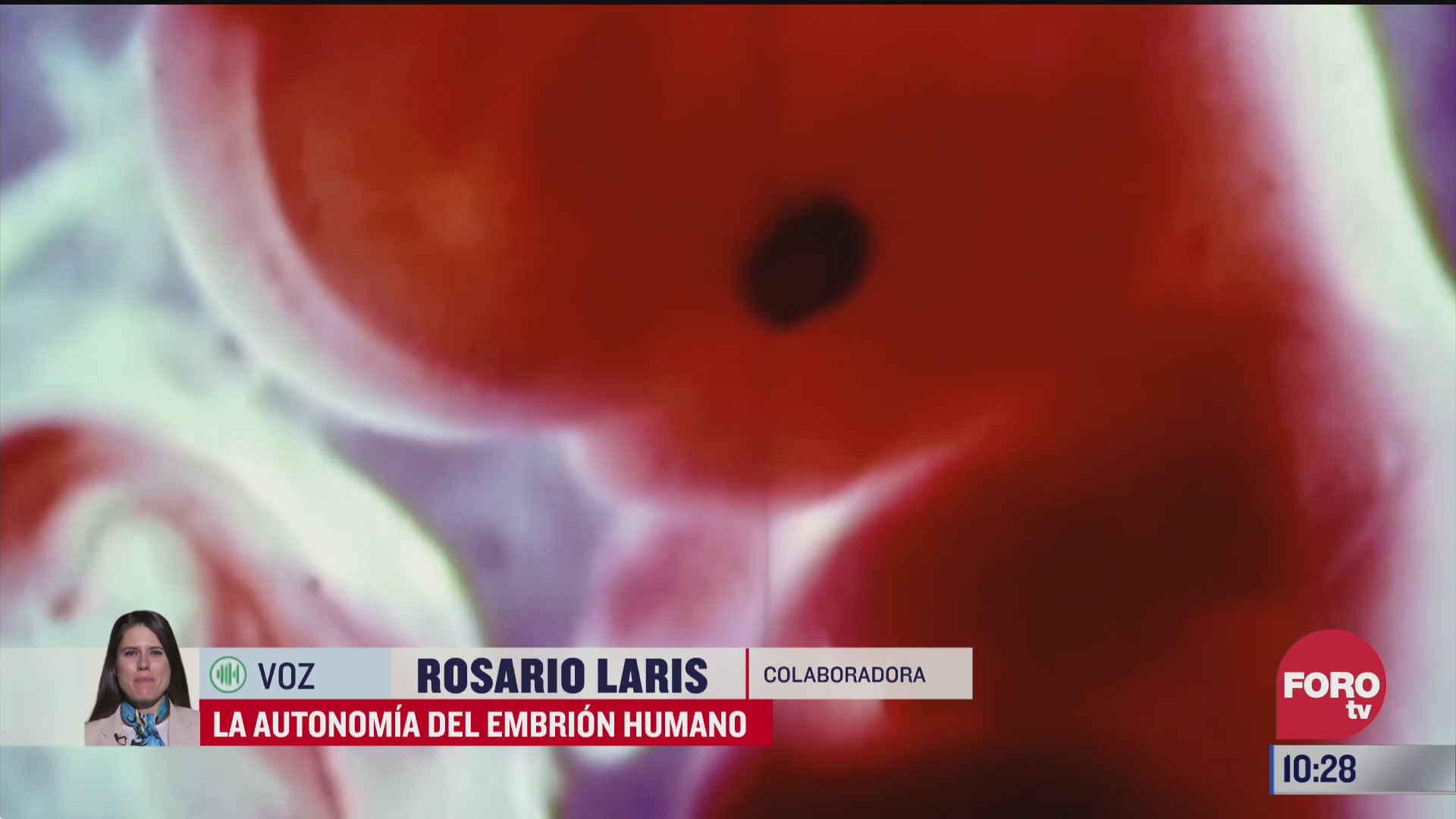 la autonomia del embrion humano