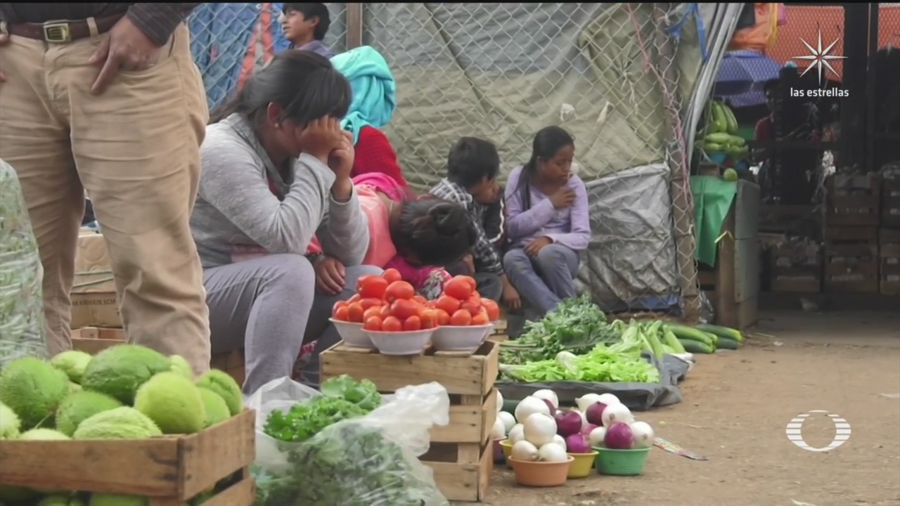 omerciantes de Chiapas piden estancia infantil en mercado oara evitar el robo de mernores en mercados de San Cristobal de las Casas