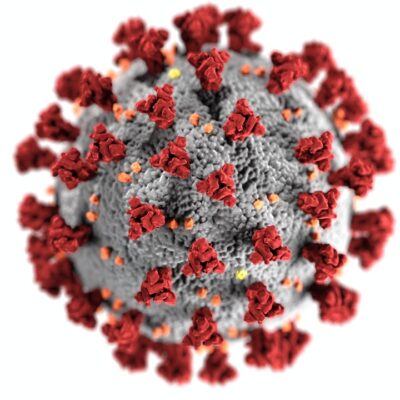 Hacia la cura: científica mexicana descubre vulnerabilidad del coronavirus